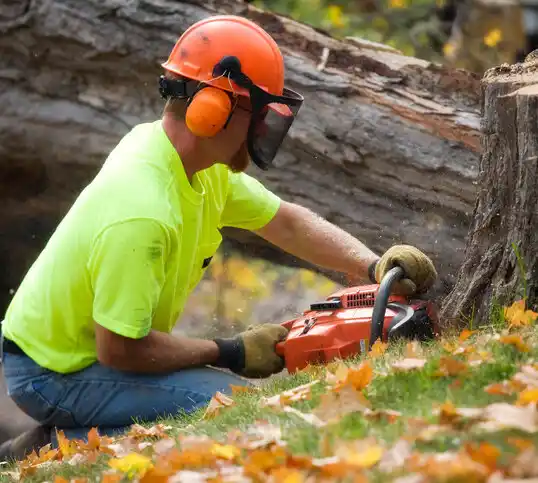 tree services Layhill